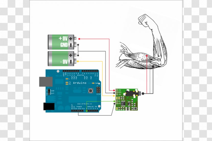 Electronic Component Electromyography Electronics Sensor Muscle - Electrical Network - Emg 85 Transparent PNG
