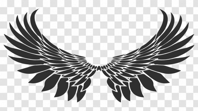 Drawing Royalty-free - Monochrome - Wings Transparent PNG