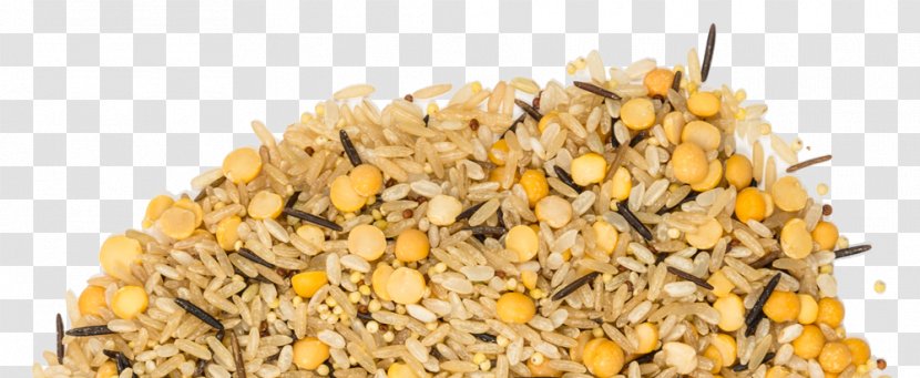 Cereal Germ Vegetarian Cuisine Superfood - Brown Rice Transparent PNG