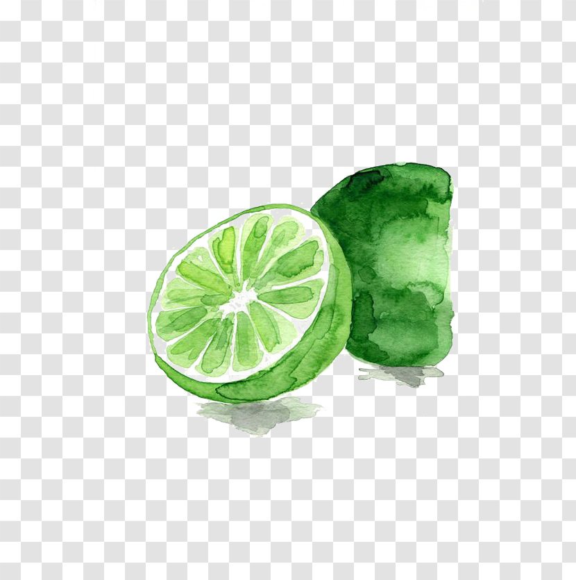 Lemon-lime Drink Watercolor Painting Fruit - Produce - Lime Transparent PNG