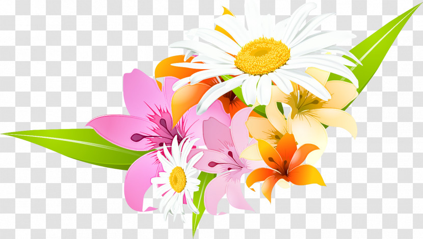 Lily Flower Transparent PNG