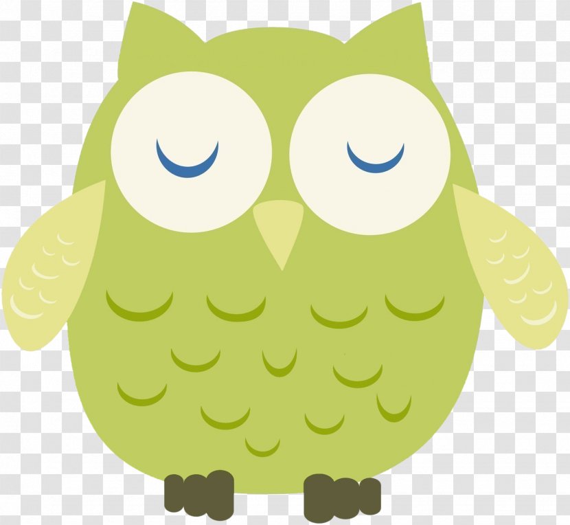 Kristoff Little Owl - Color - Owls Transparent PNG