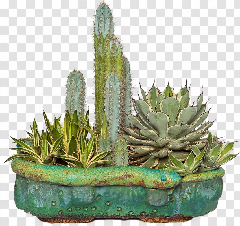 Flowerpot Succulent Plant Cactaceae Aloe Clip Art - Cactus Transparent PNG