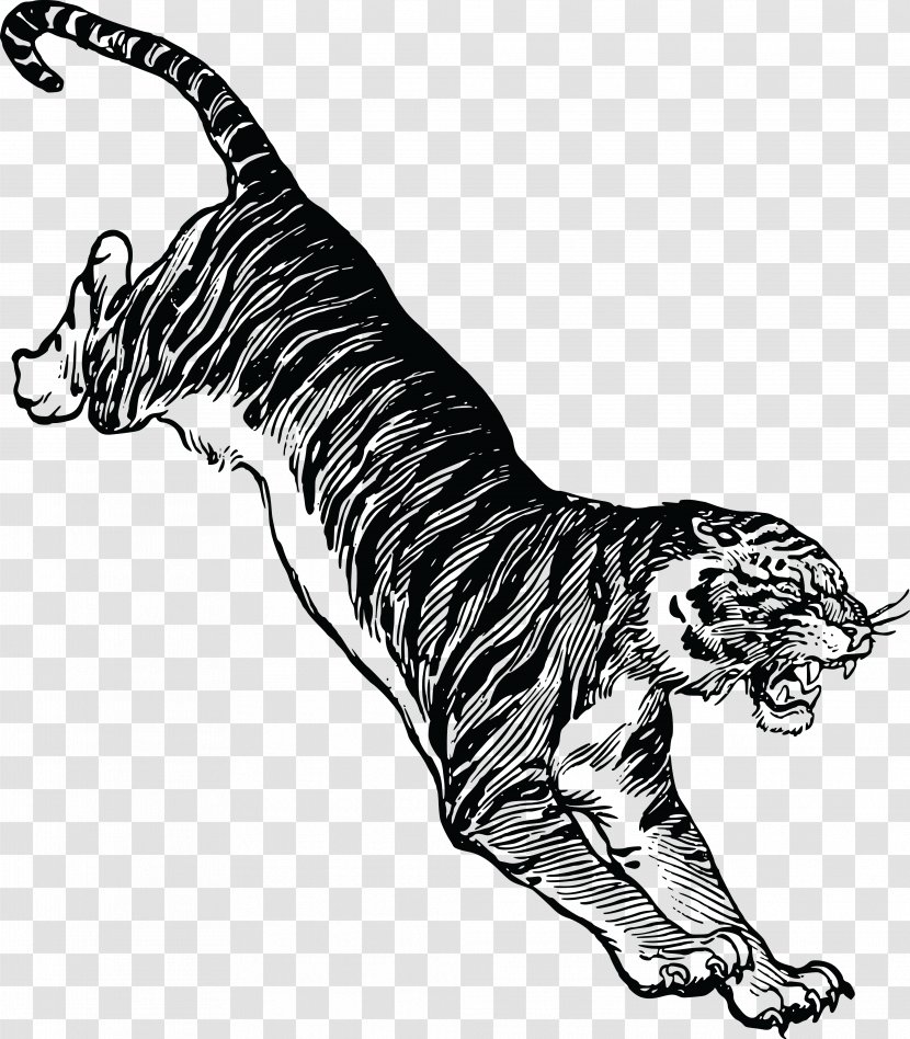 Felidae Cat Drawing Jumping Clip Art - White Tiger Transparent PNG