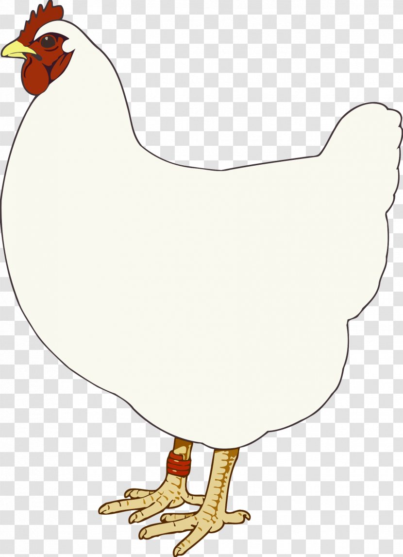 Chicken Phasianidae Man In Cast Rooster Clip Art - Poultry - Hen Transparent PNG