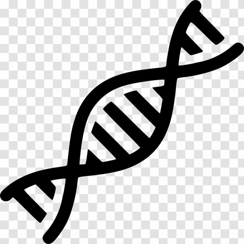 Nucleic Acid Double Helix DNA Gene - Heart - Vector Transparent PNG