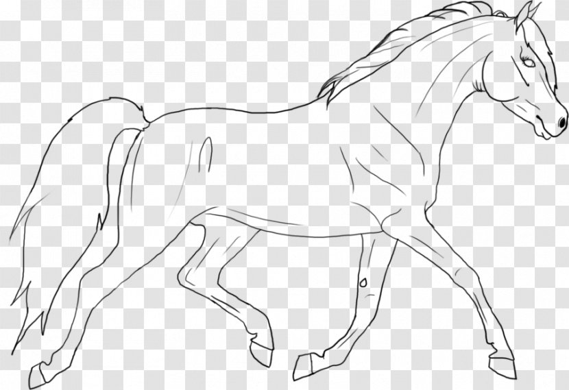 Arabian Horse Line Art Mane Foal Stallion - Jumping Kids Transparent PNG