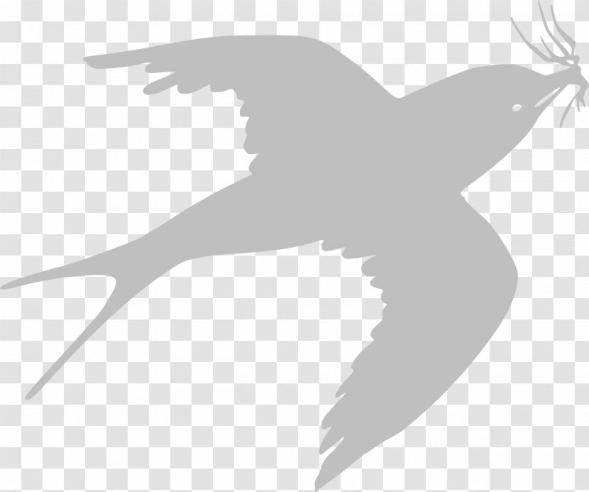 Sparrow Clip Art - Vertebrate - Flying Bird Transparent PNG