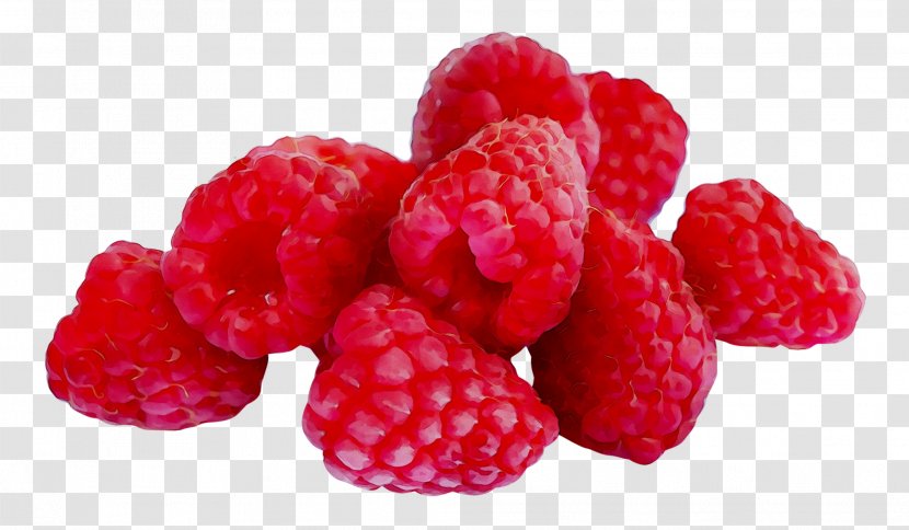 Red Raspberry Loganberry Boysenberry Tayberry - West Indian Transparent PNG