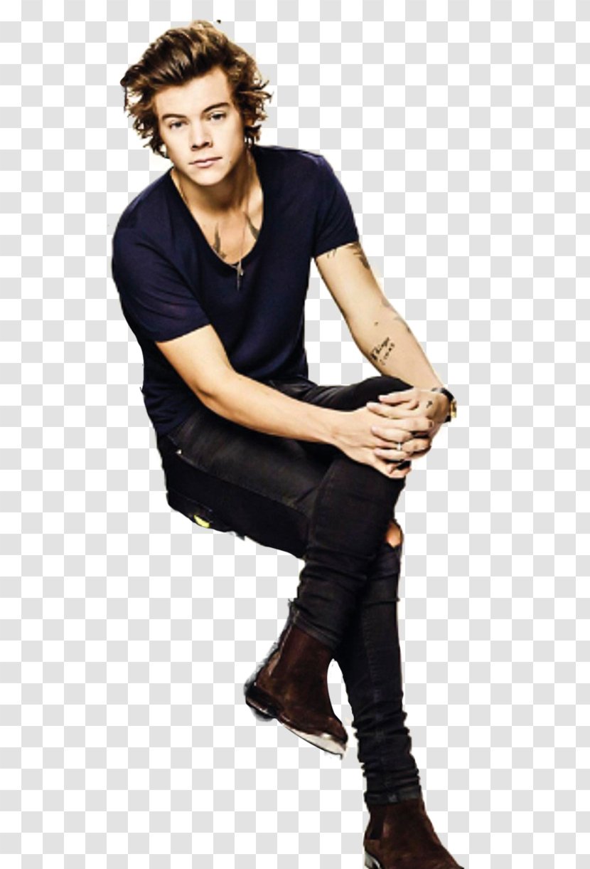 Harry Styles One Direction You & I The X Factor - Tree - Occident Style Transparent PNG