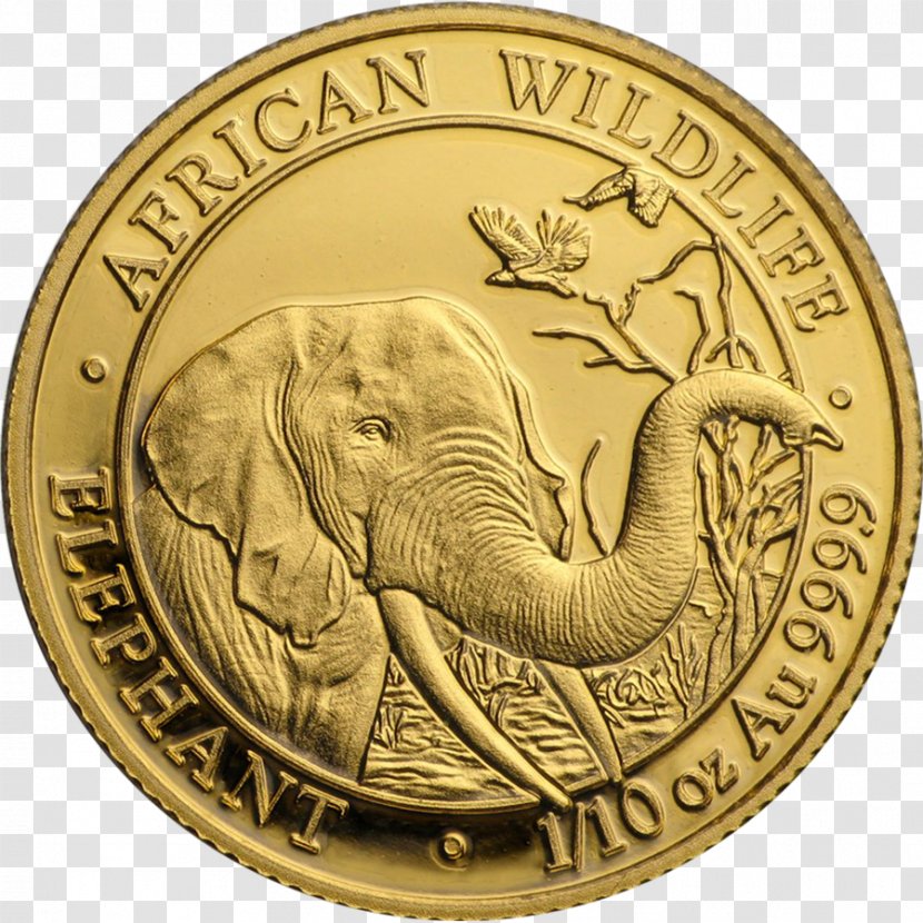 Bullion Coin Gold Monety Okolicznościowe 2 Złote - Elephant Transparent PNG