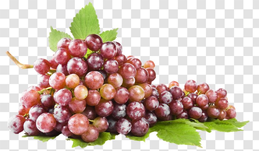 Common Grape Vine Stock Photography Wine - Cranberry Transparent PNG