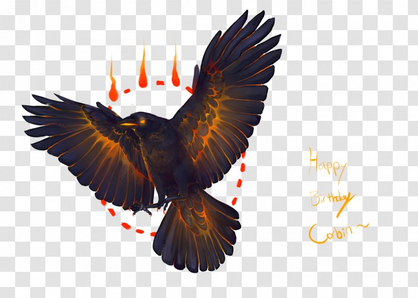 Bald Eagle Hawk Beak - Wing Transparent PNG