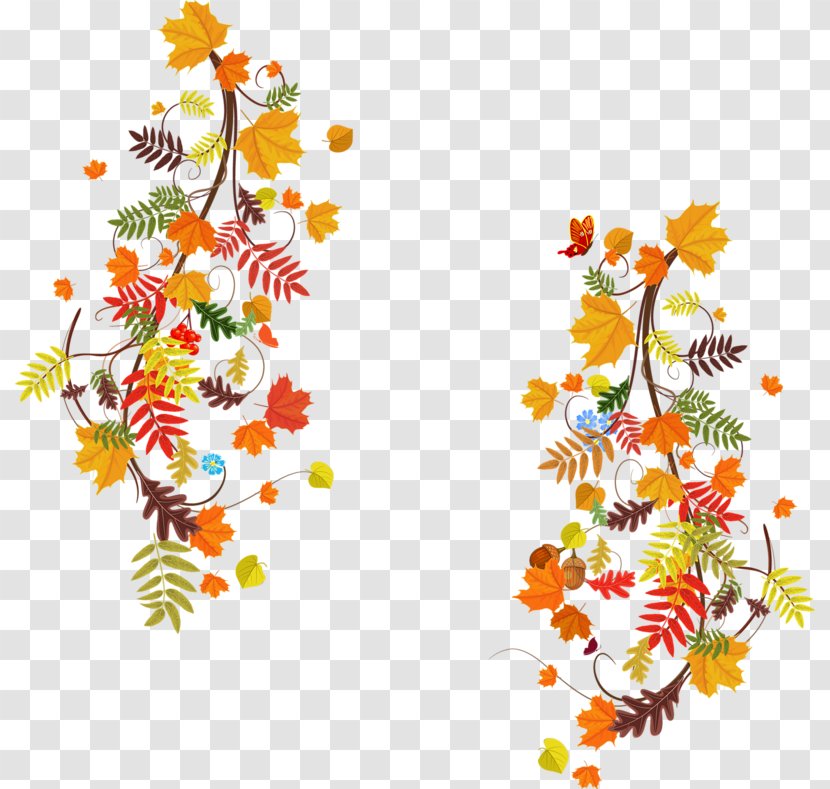 Autumn Leaf Color Floral Design - Fructification Transparent PNG