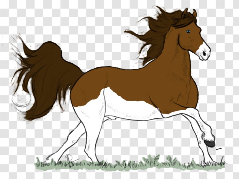 Mustang Foal Stallion Colt Mare - Character Transparent PNG