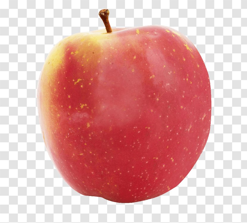 McIntosh Red Apple Accessory Fruit Food - Mcintosh Laboratory - Russet Transparent PNG