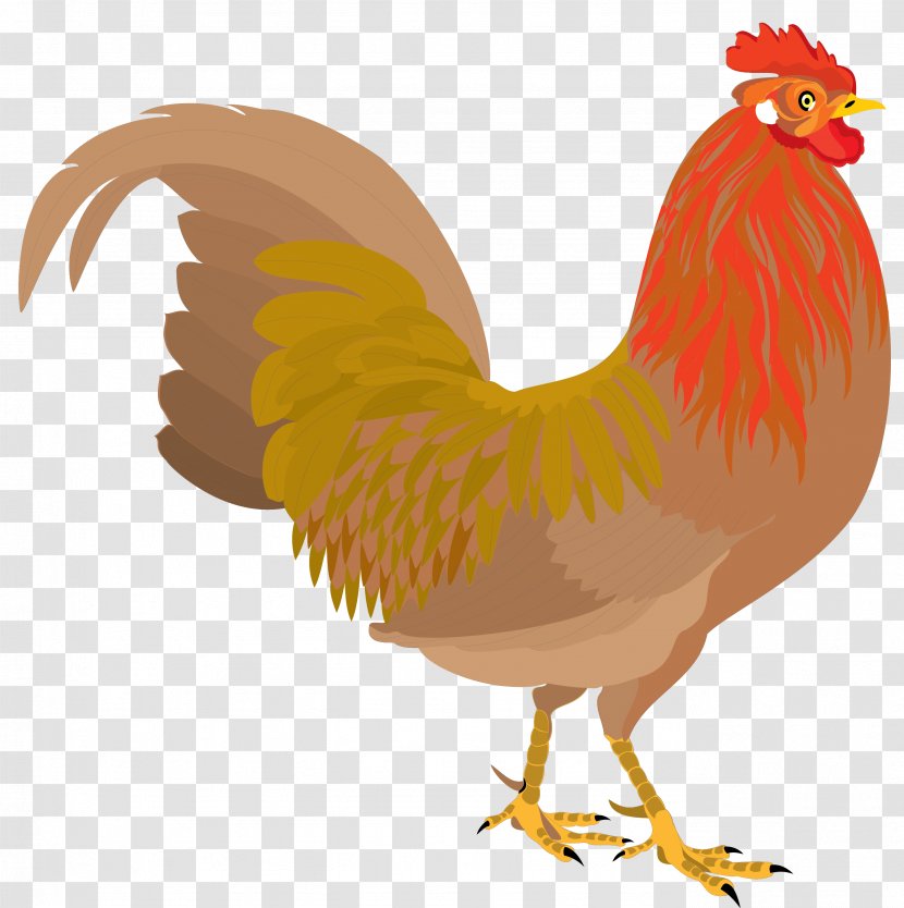 Chicken Rooster Clip Art - Feather Transparent PNG