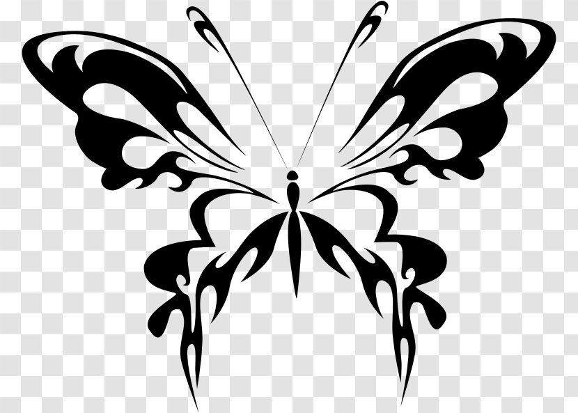 Butterfly Insect Clip Art - Royaltyfree Transparent PNG