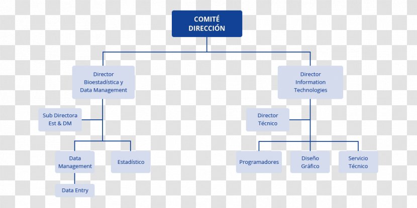 Organizational Chart Empresa Statistics Logistics - Number - Cro Transparent PNG