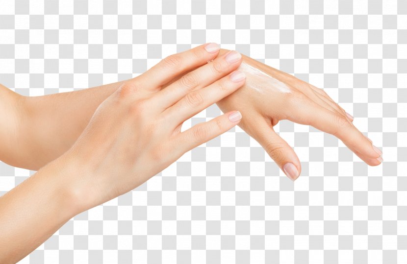 Human Skin Hand PH Care - Cartoon Transparent PNG