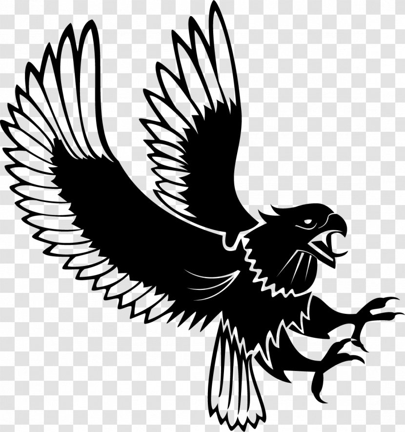 Bald Eagle Clip Art - Feather - The Proud Transparent PNG