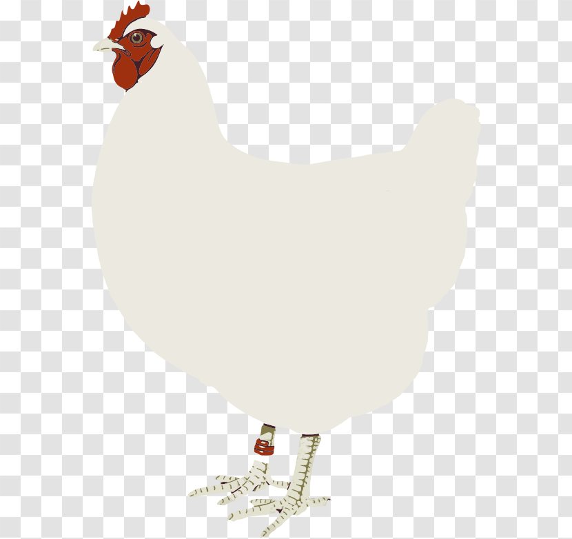 Rooster Chicken Clip Art - Feather - Chickie Cliparts Transparent PNG