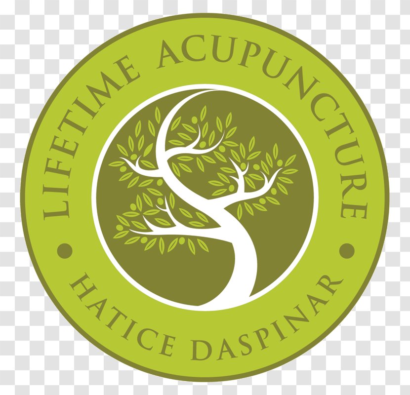 Lifetime Acupuncture New York College Of Traditional Chinese Medicine Health - Cupping Therapy Transparent PNG