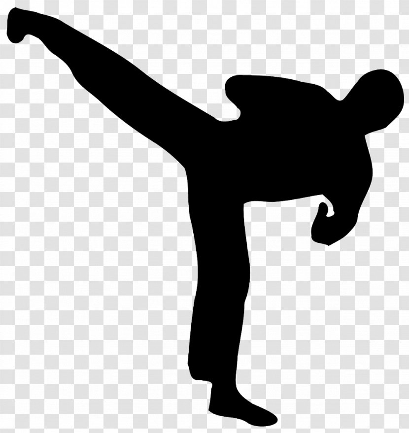 Taekwondo Martial Arts Kick Hapkido Karate - Artes Marciales Transparent PNG