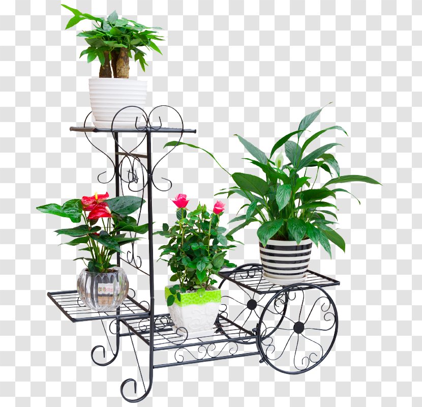 Cut Flowers Flowerpot Floristry Houseplant - Plant Transparent PNG