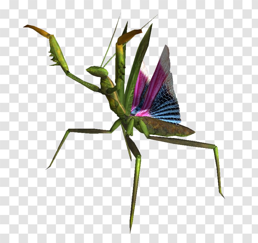 Fallout: New Vegas Fallout 2 Insect European Mantis - Wiki - Female Centaur Pictures Transparent PNG