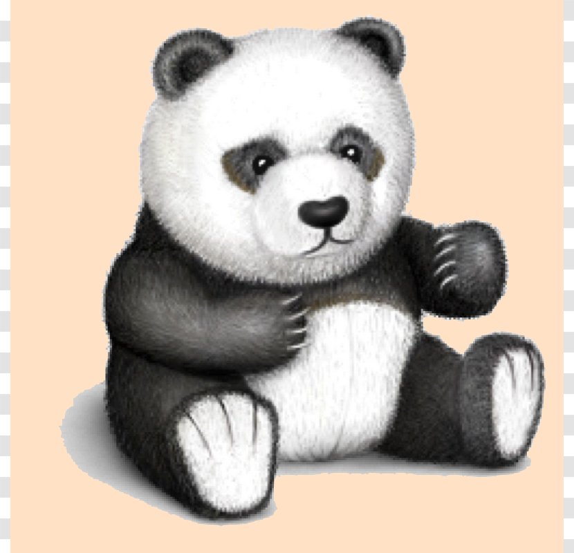 Giant Panda Infant Child Baby Pandas Boy - Cartoon Transparent PNG