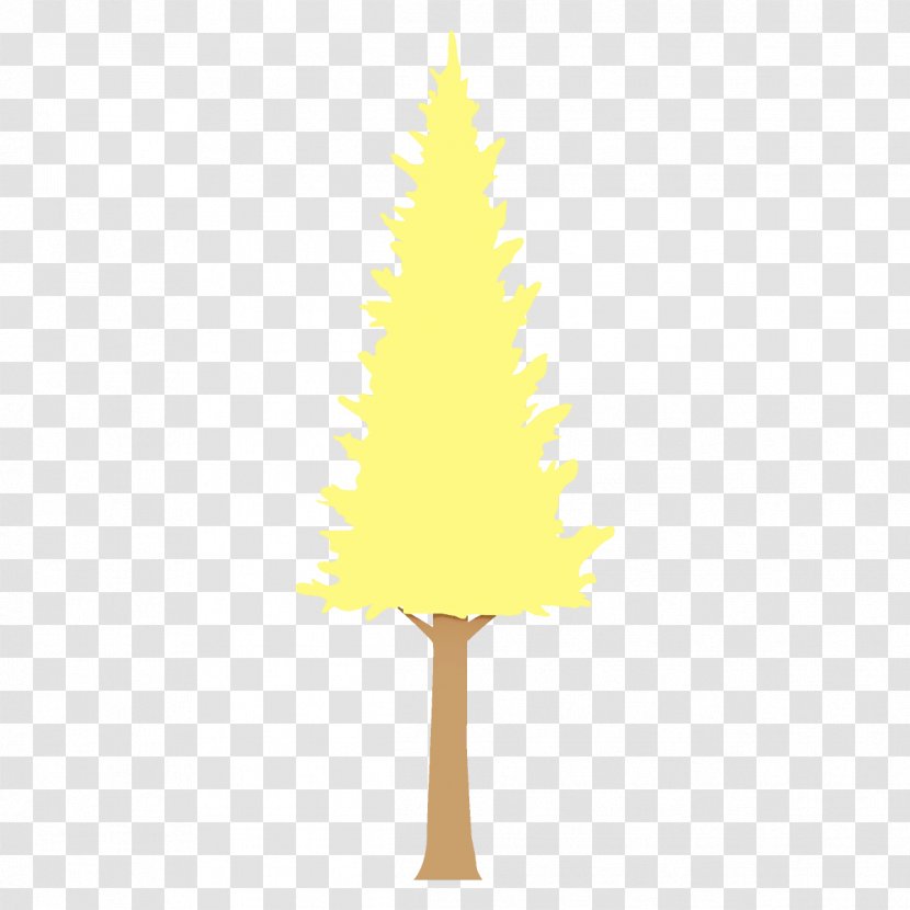 Christmas Tree - Conifer - Pine Family Plant Transparent PNG