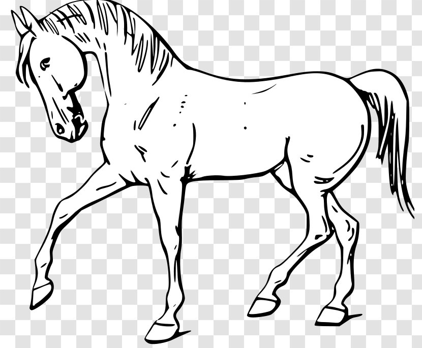 Mustang American Quarter Horse White Black Clip Art - Tail - Printable Outline Transparent PNG