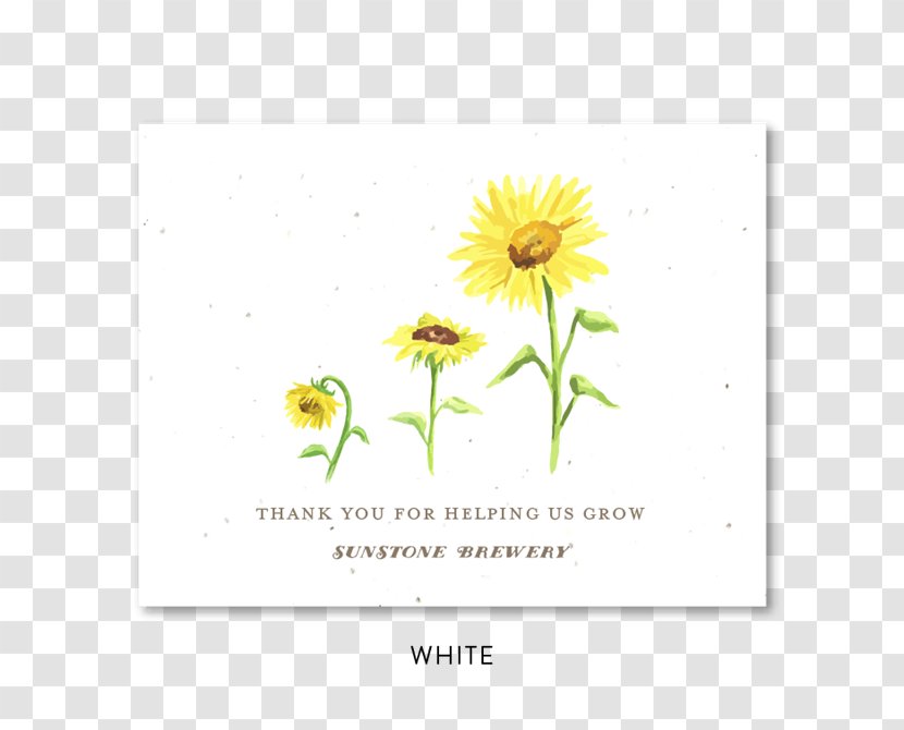 Common Sunflower Seed Paper Wedding Invitation - Recycling - Autumn Card Mushroom Watercolor Transparent PNG