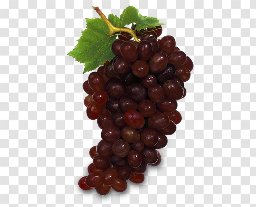 Fruit Grape Sultana Food Berry - Avocado - Tropical Transparent PNG