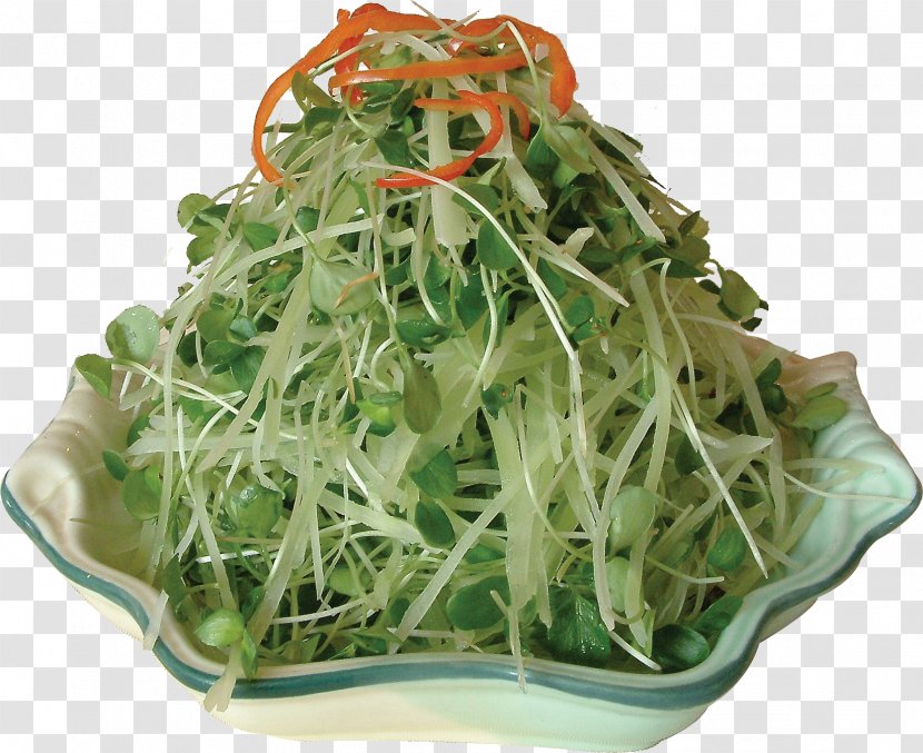 Chinese Cuisine Bamboo Shoot Food Toona Sinensis - Alfalfa Sprouts - Cedar Seedlings Mixed With Shredded Shoots Transparent PNG