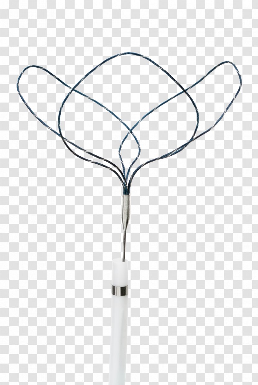 Vascular Surgery Snare Catheter Argon Medical Devices Inc. Interventional Radiology - Urology Transparent PNG