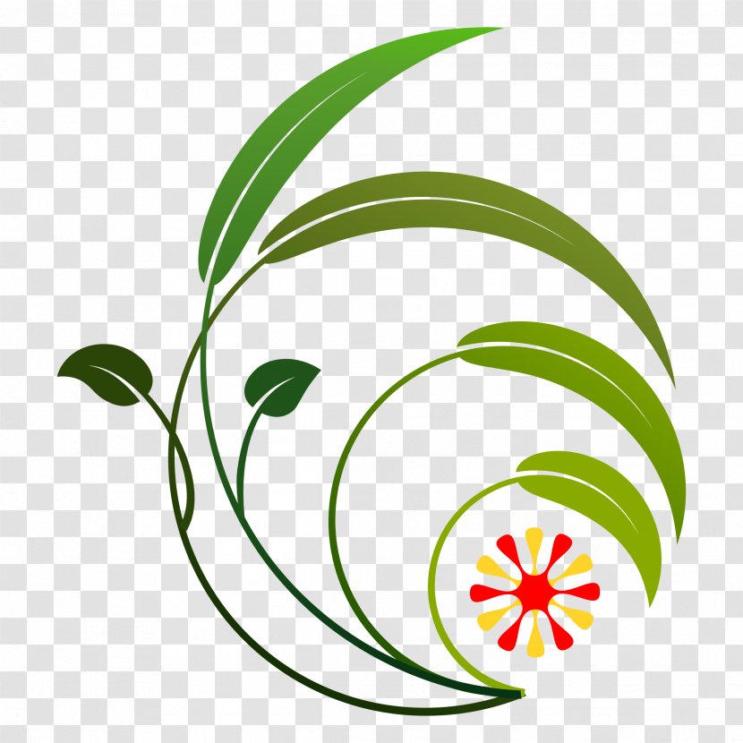 Clip Art - Plant - Vegetation Transparent PNG