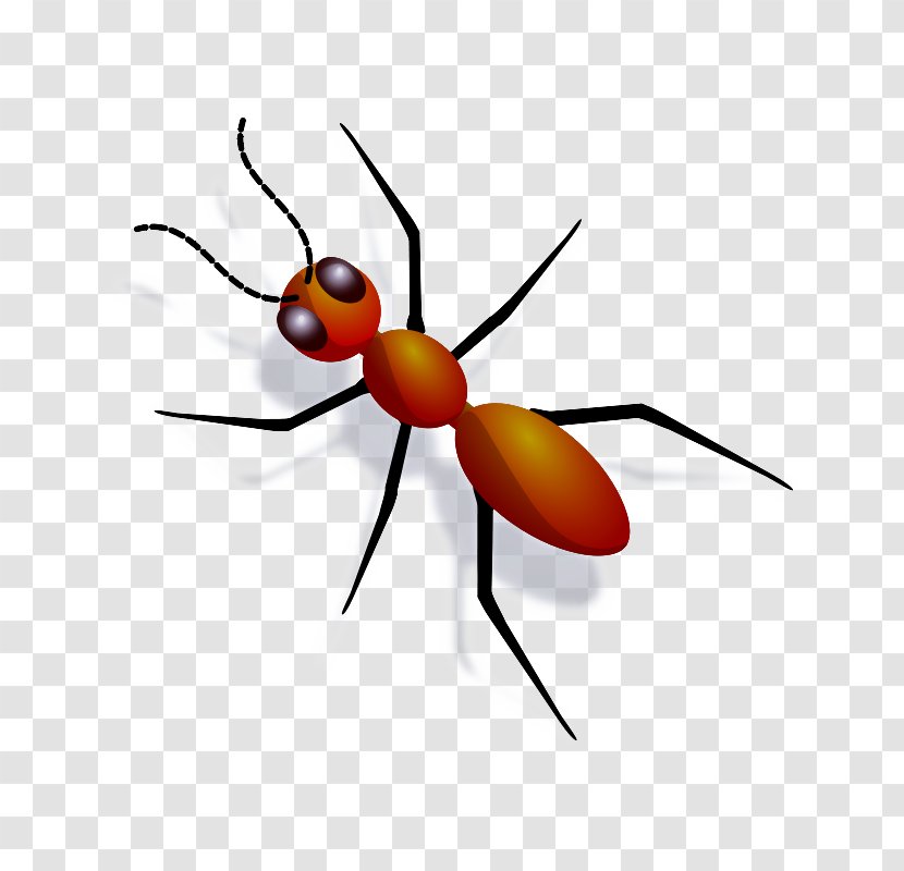 Insect Pest Carpenter Ant Membrane-winged - Membranewinged - Termite Fly Transparent PNG