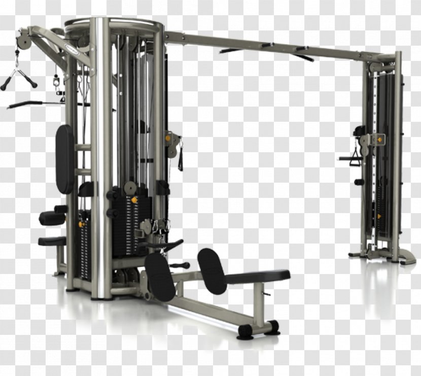 Fitness Centre Exercise Equipment Row Physical - Hammer Transparent PNG