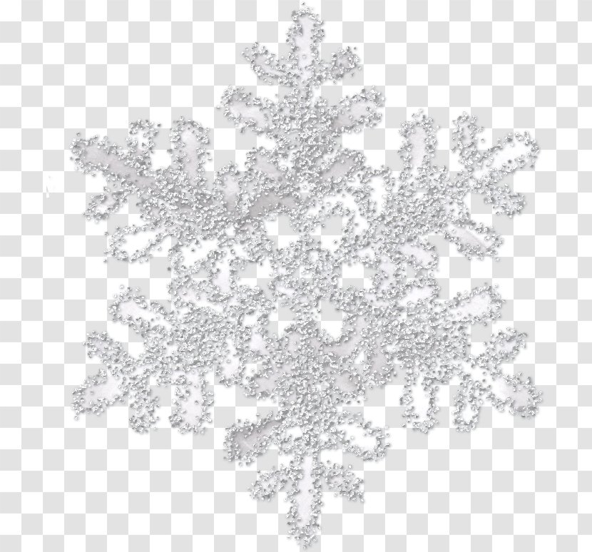 Snowflake Icon - Lace - Image Transparent PNG