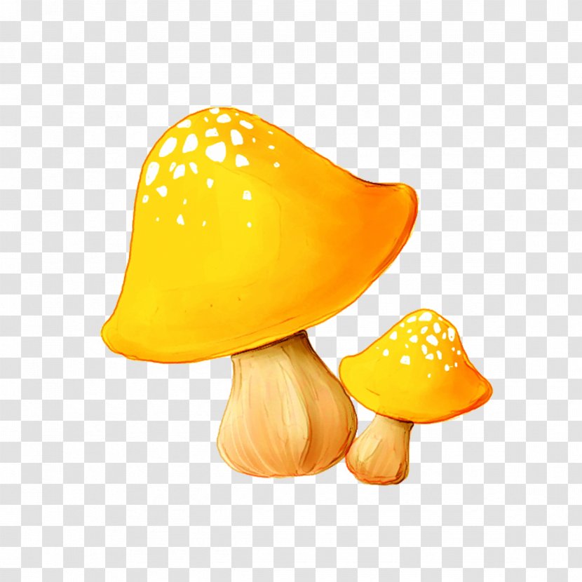 Mushroom Enokitake - Fungus - Hand Drawn Mushrooms Transparent PNG