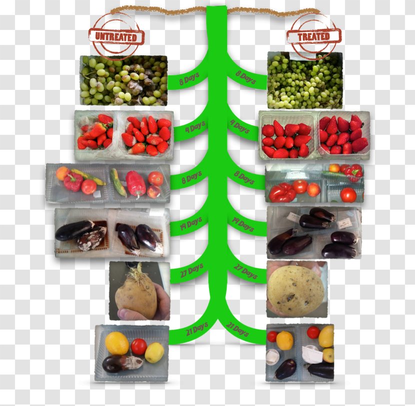 Vegetable Fruit Natural Foods Organic Food Transparent PNG