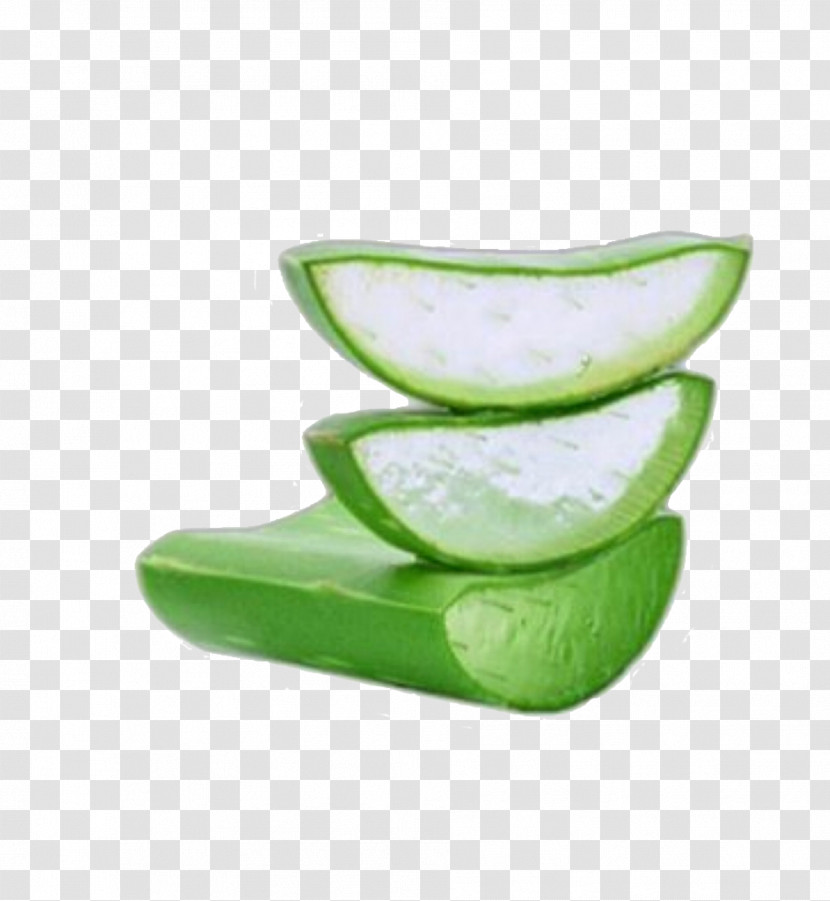 Green Plant Soap Dish Serveware Bowl Transparent PNG