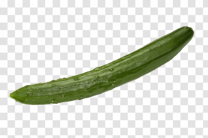 Pickled Cucumber Vegetable Transparent PNG