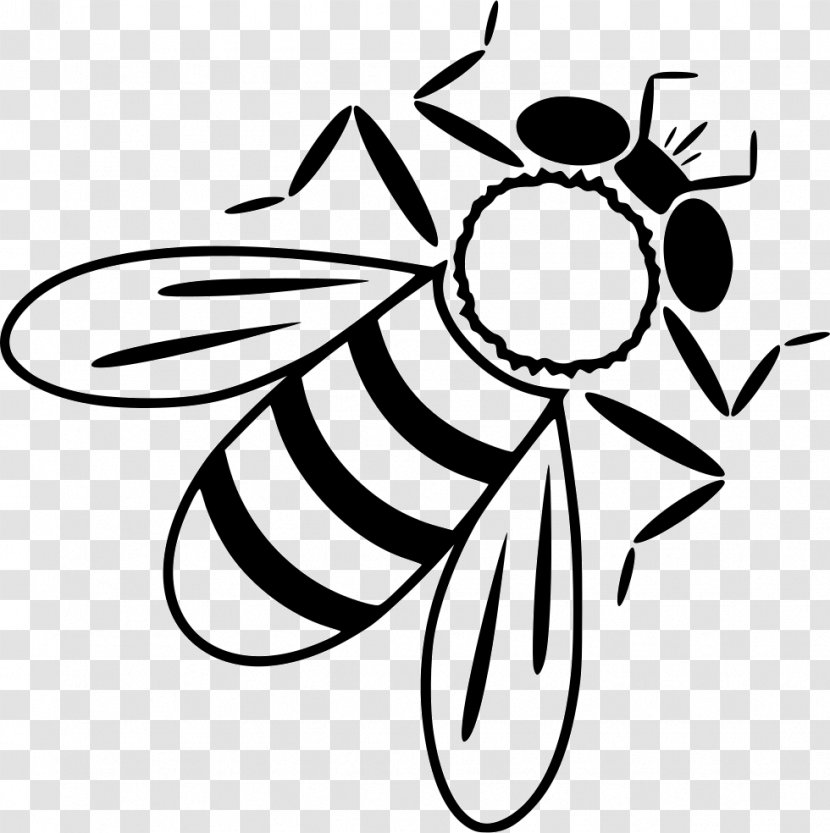 Honey Bee Insect Worker Clip Art - Monochrome Photography Transparent PNG