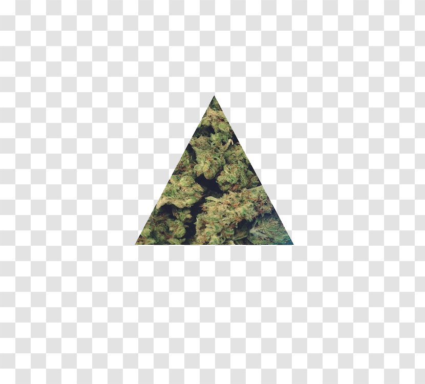 Cannabis Triangle Information - Tree - Weed Transparent PNG