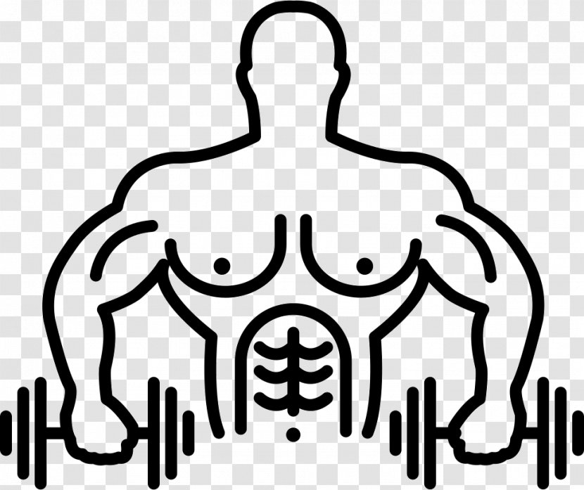 Human Body Biceps Clip Art Bodybuilding Muscle - Frame Transparent PNG