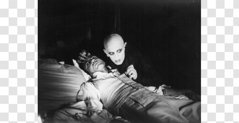 Count Orlok Dracula Vampire Film Director - Horror Transparent PNG