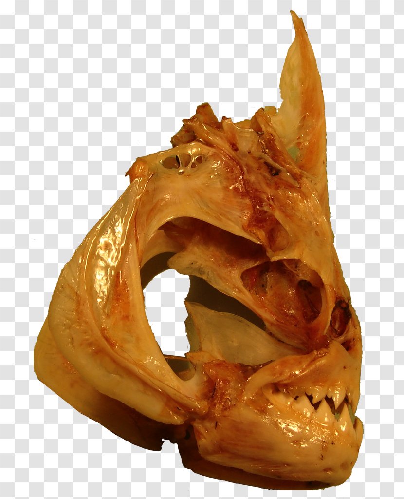 Pig's Ear Food Jaw Dish Network - Amazon River Transparent PNG